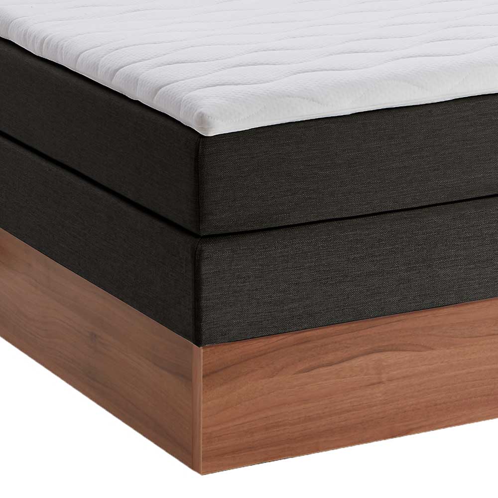 Boxspring Bett Bostan mit Bettkasten in Anthrazit & Walnussfarben