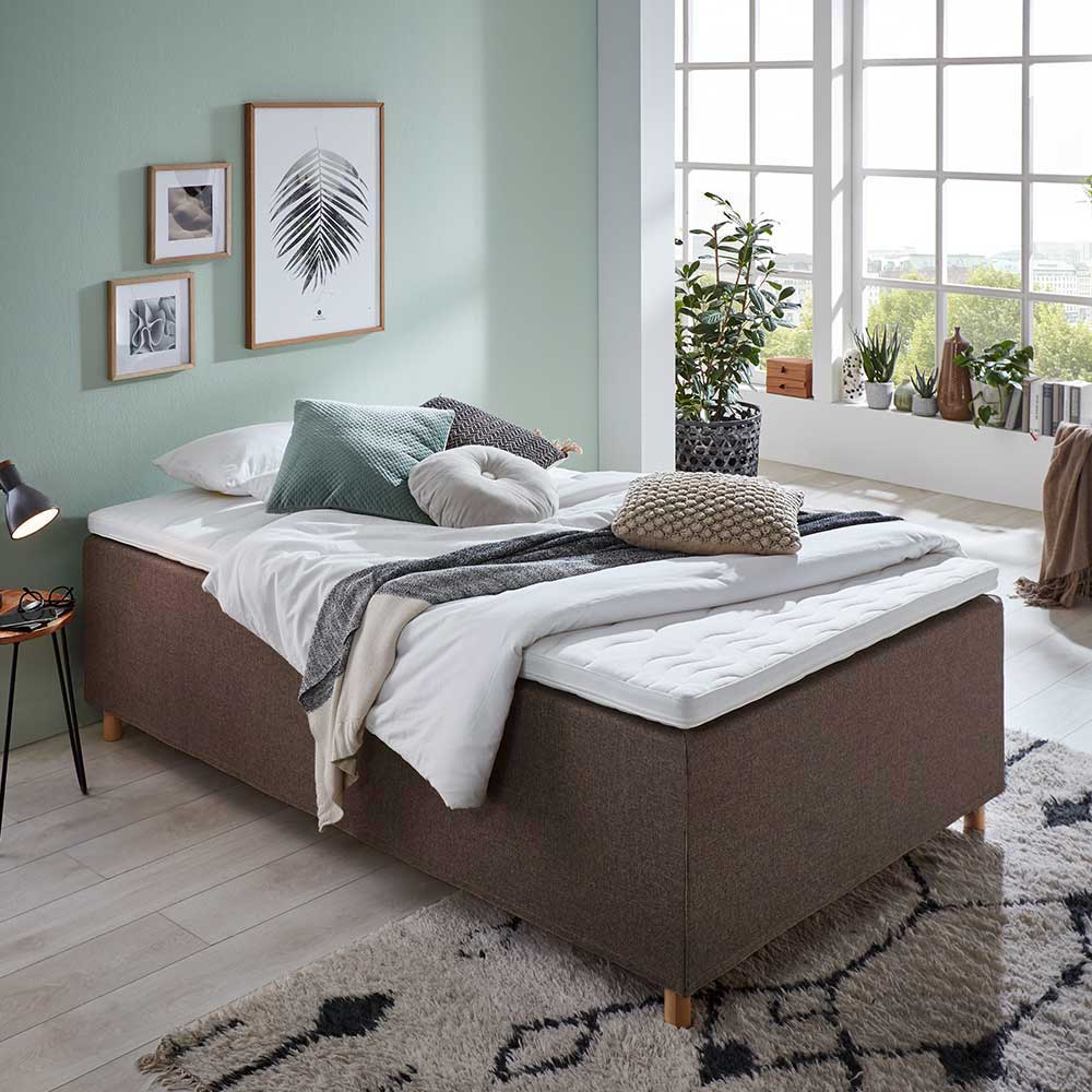 Boxspring Bett London mit Tonnentaschenfederkern Matratze in Braun